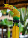 Green toucan hanging on a perch