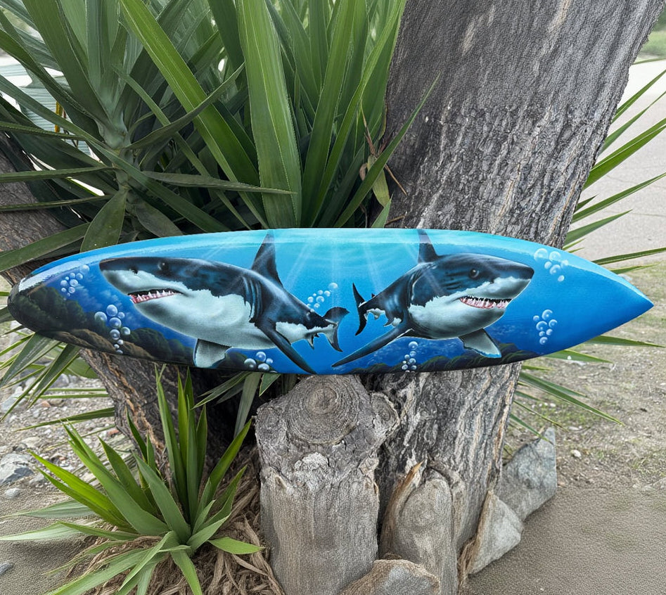 Great white sharks surfboard
