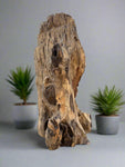 Buddha Spiritual Teak Drift Wood Carving 15"x 10"x 8"