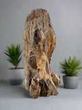 Buddha Spiritual Teak Drift Wood Carving 15"x 10"x 8"