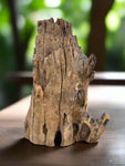 Buddha Spiritual Teak Drift Wood Carving 15"x 10"x 8"