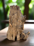 Buddha Spiritual Teak Drift Wood Carving 15"x 10"x 8"