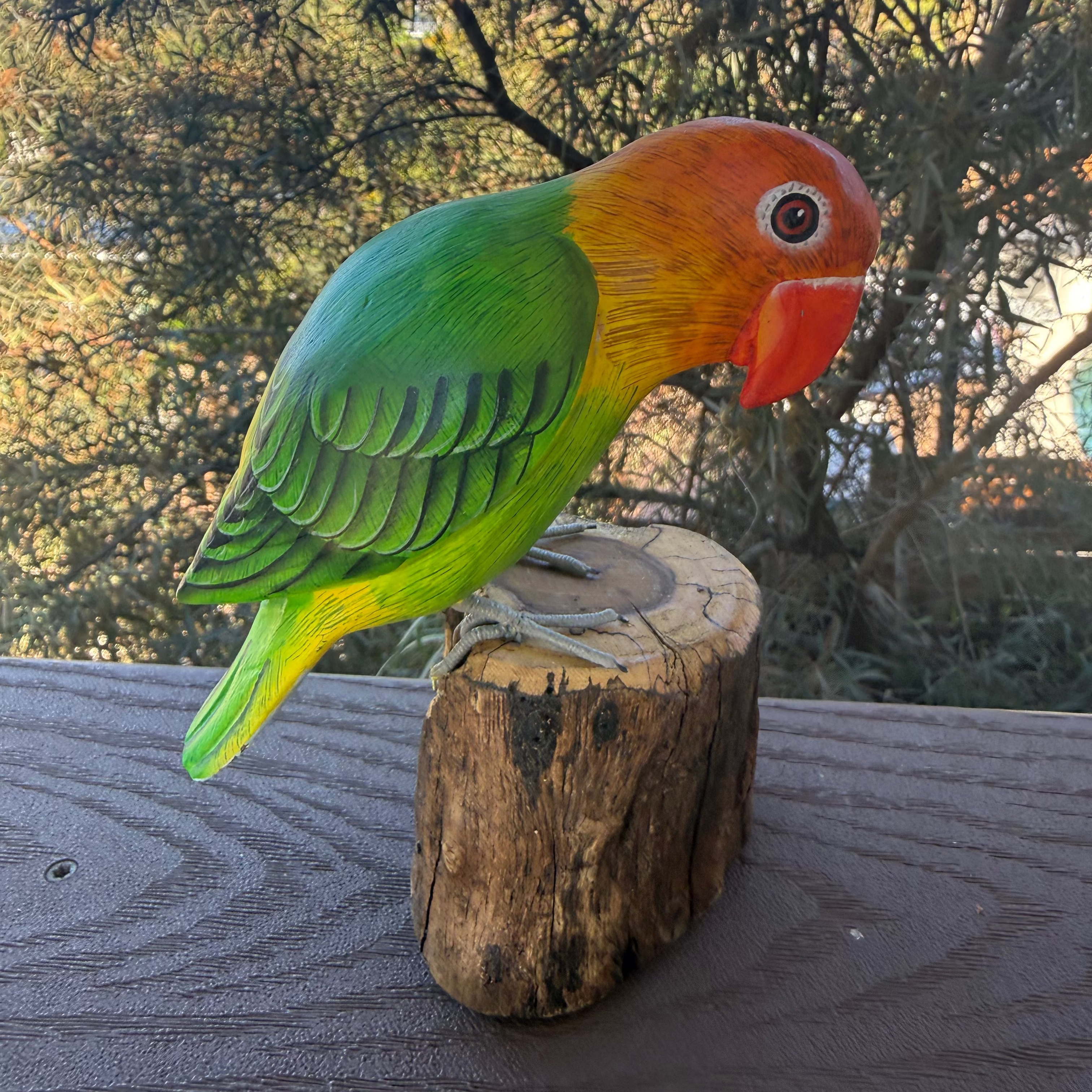Colorful parrot perched on a wooden stump with trees in the background