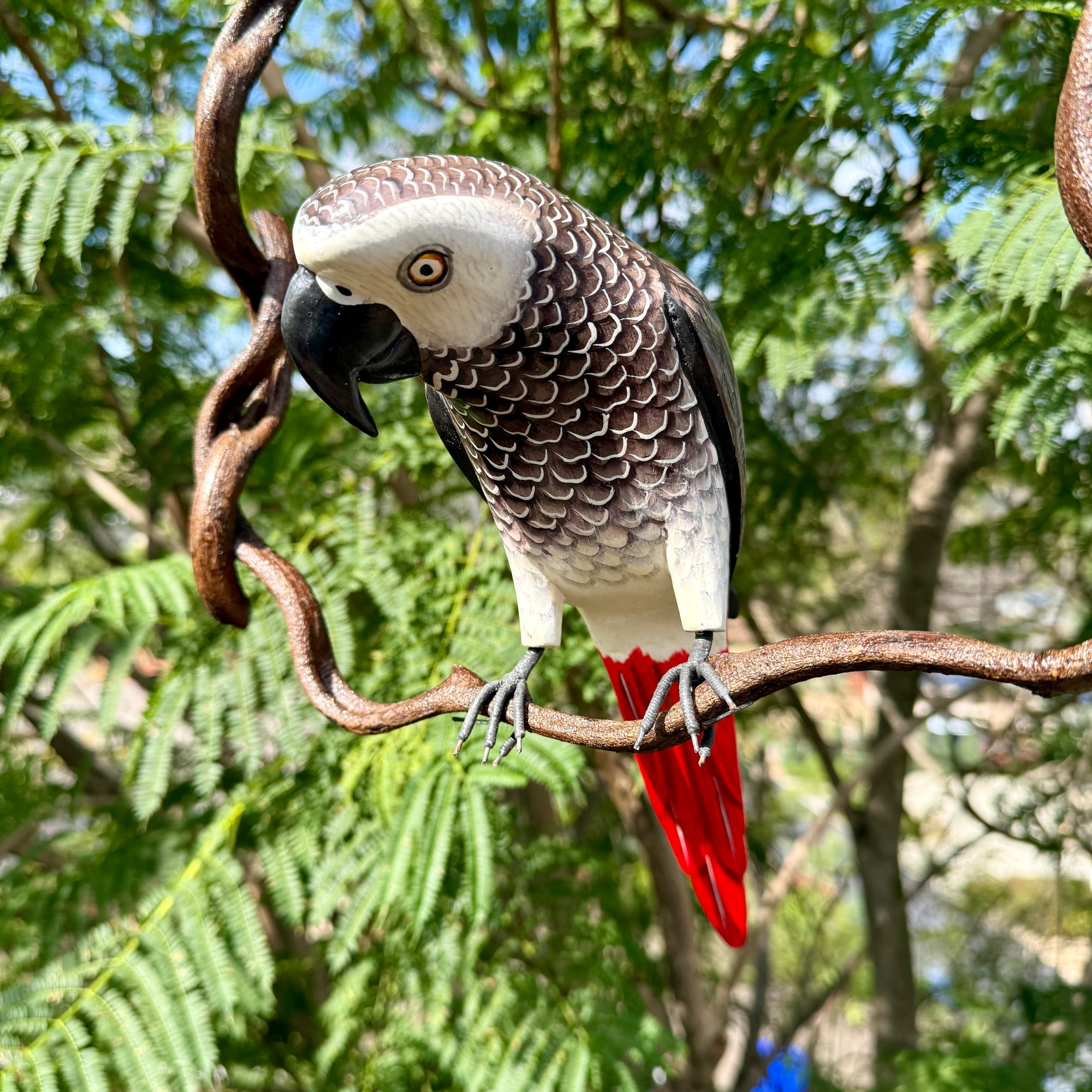 Gray parrot with red tail perched on a branch with green foliage in the background