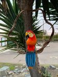 Handcrafted Wooden Scarlet Macaw Parrot Hanging Statue 16"in Head to Tail