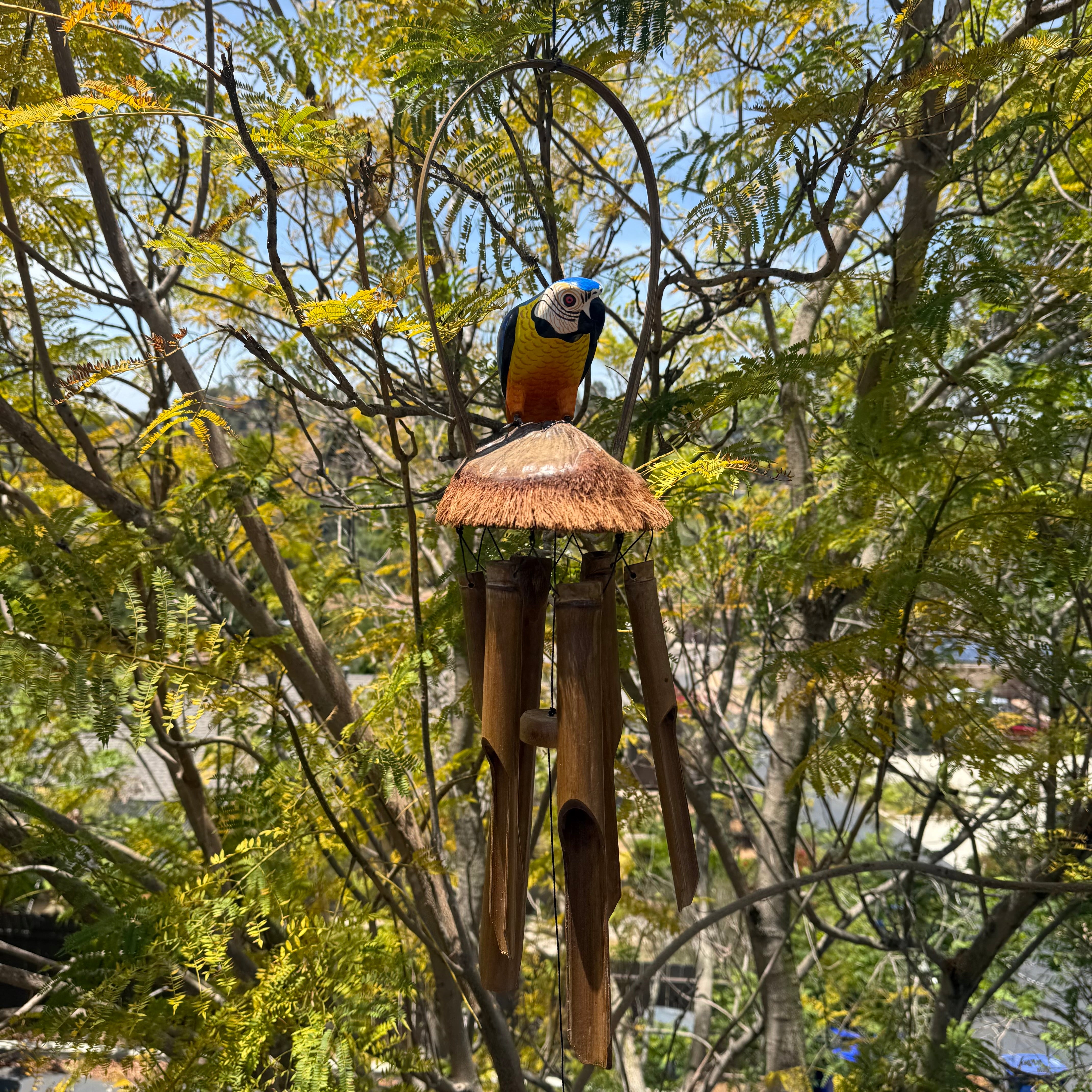 blue parrot coconut wind chime
