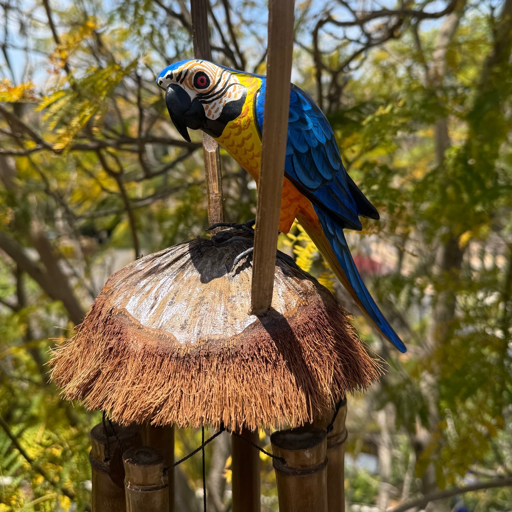 blue parrot winch chime
