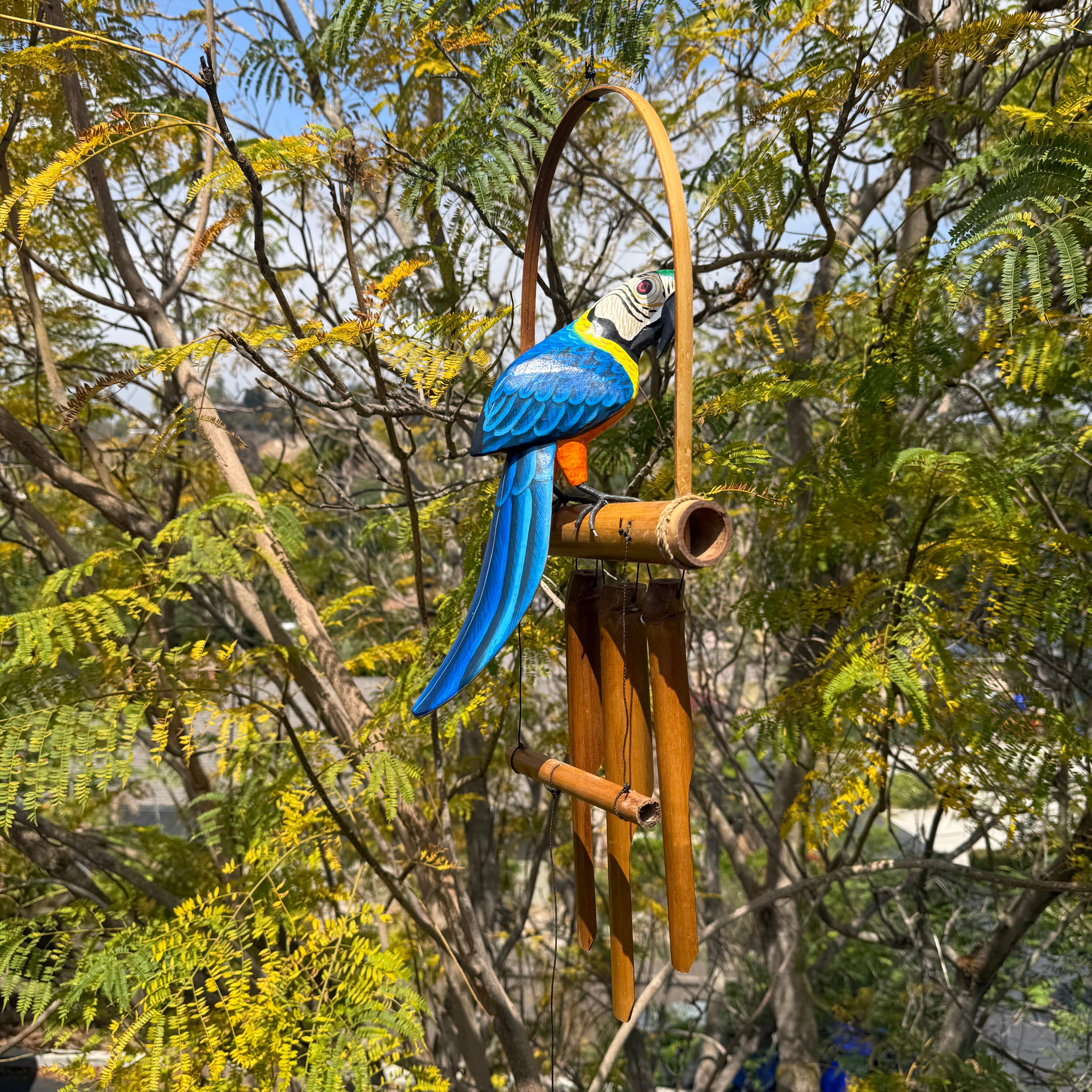 Hand Carved & Painted Toucan Macaw Tropical Bird Statues - The