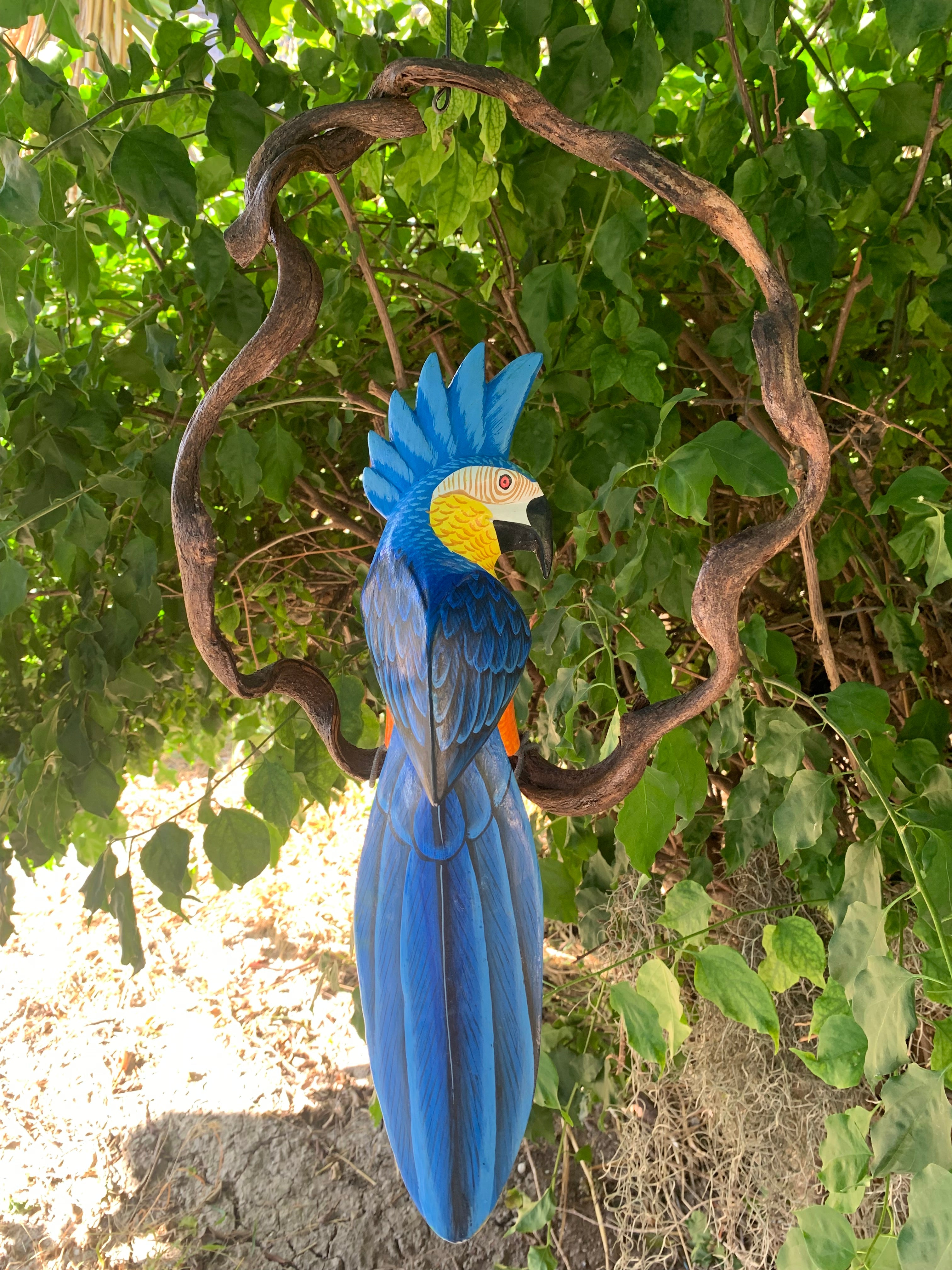 bue cockatoo