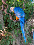 Blue and Yellow Parrot Hand-crafted Wooden hanging Statue 17"in. Head to Tail