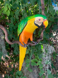 Green Macaw Parrot Handcrafted Wood Hanging Statue  17"in Head to Tail