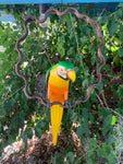 Green Macaw Parrot Handcrafted Wood Hanging Statue  17"in Head to Tail