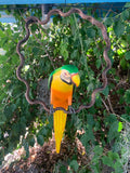 Green Macaw Parrot Handcrafted Wood Hanging Statue  17"in Head to Tail