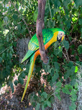 Green Macaw Parrot Handcrafted Wood Hanging Statue  17"in Head to Tail