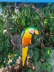 Green Macaw Parrot Handcrafted Wood Hanging Statue  17"in Head to Tail