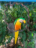 Green Macaw Parrot Handcrafted Wood Hanging Statue  17"in Head to Tail