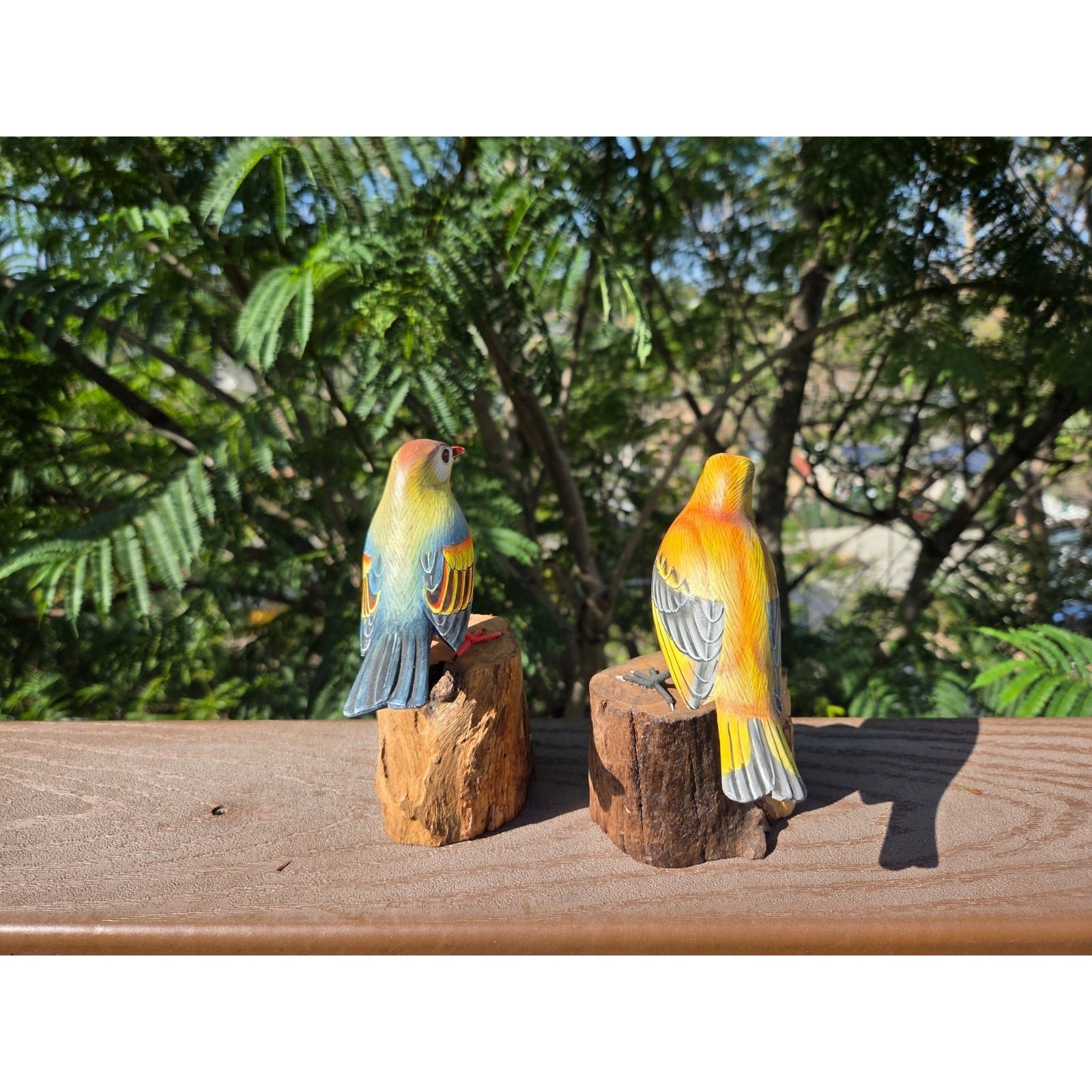 Finch Bird Set of 2 on Drift Wood Tropical Bird Figurine Wood Statue   5"