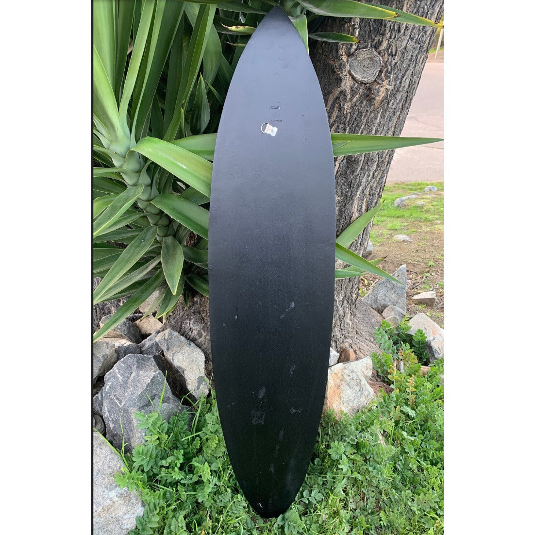 Black longboard deck leaning against a tree with green plants and rocks nearby.
