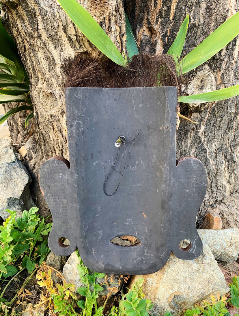 dark wooden face-like plaque with ear-shaped sides and hair on top, mounted on a tree
