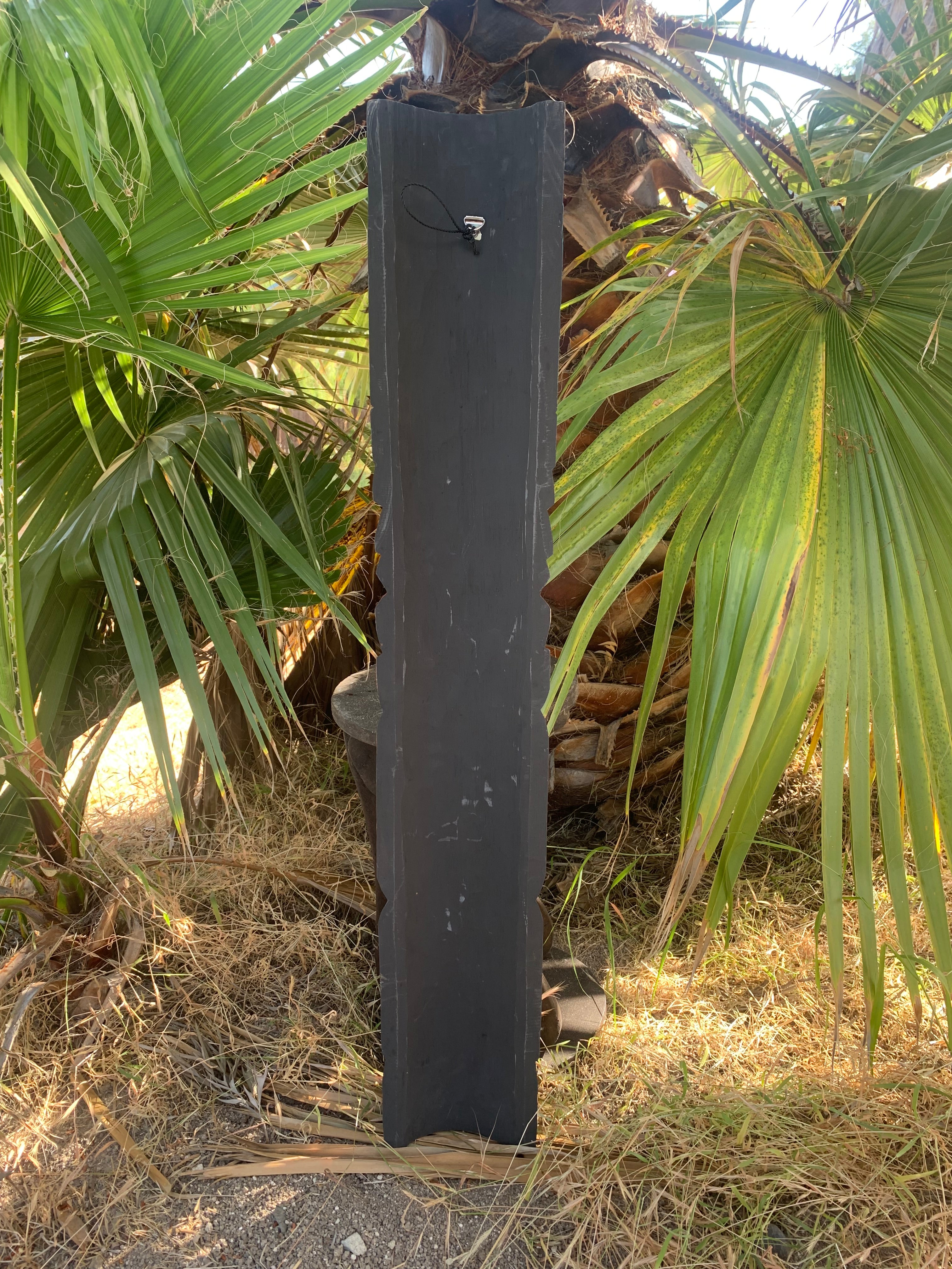 Tall black wooden post standing among green palm fronds.