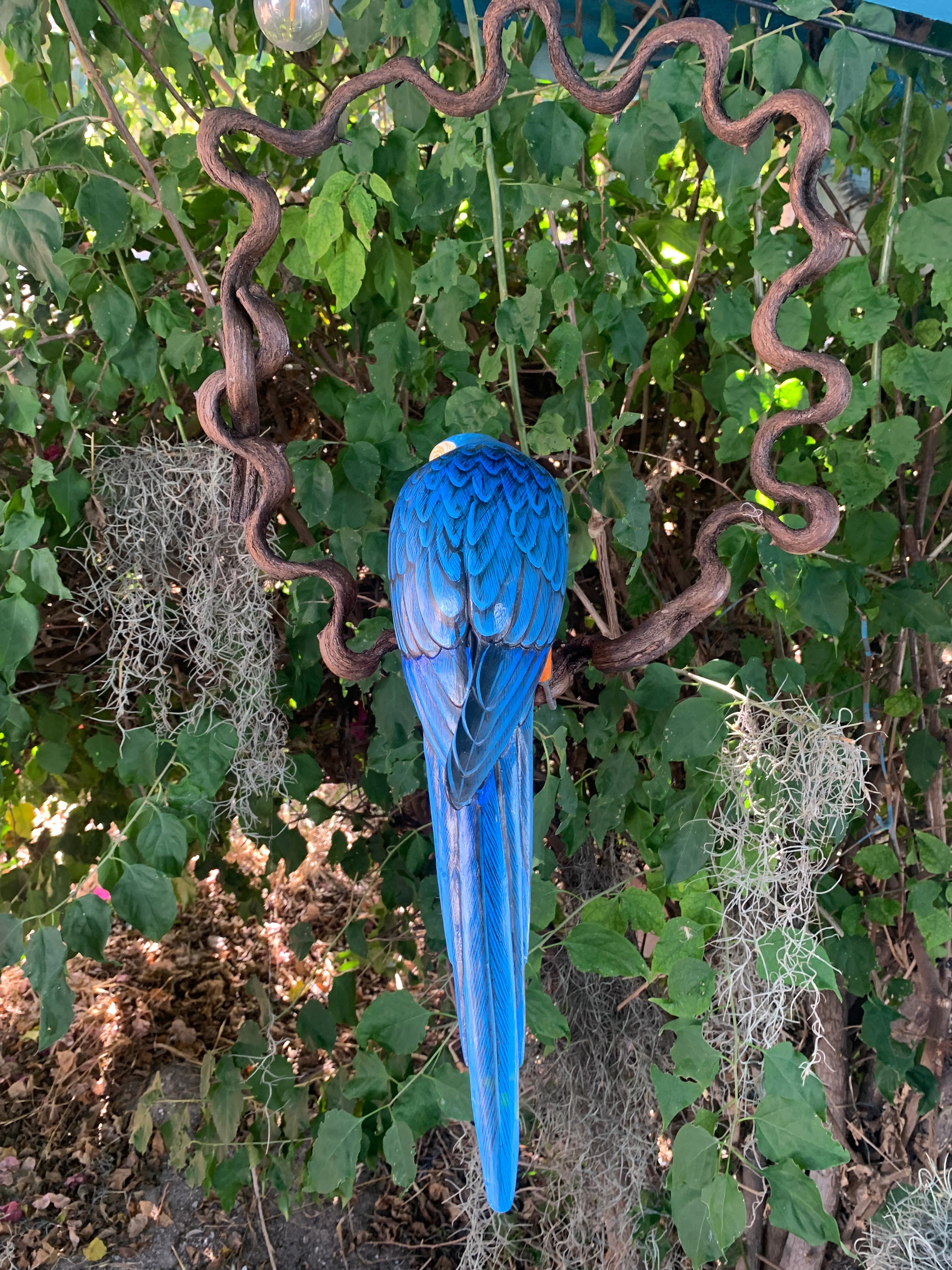 Blue hyacinth macaw perched among green leaves