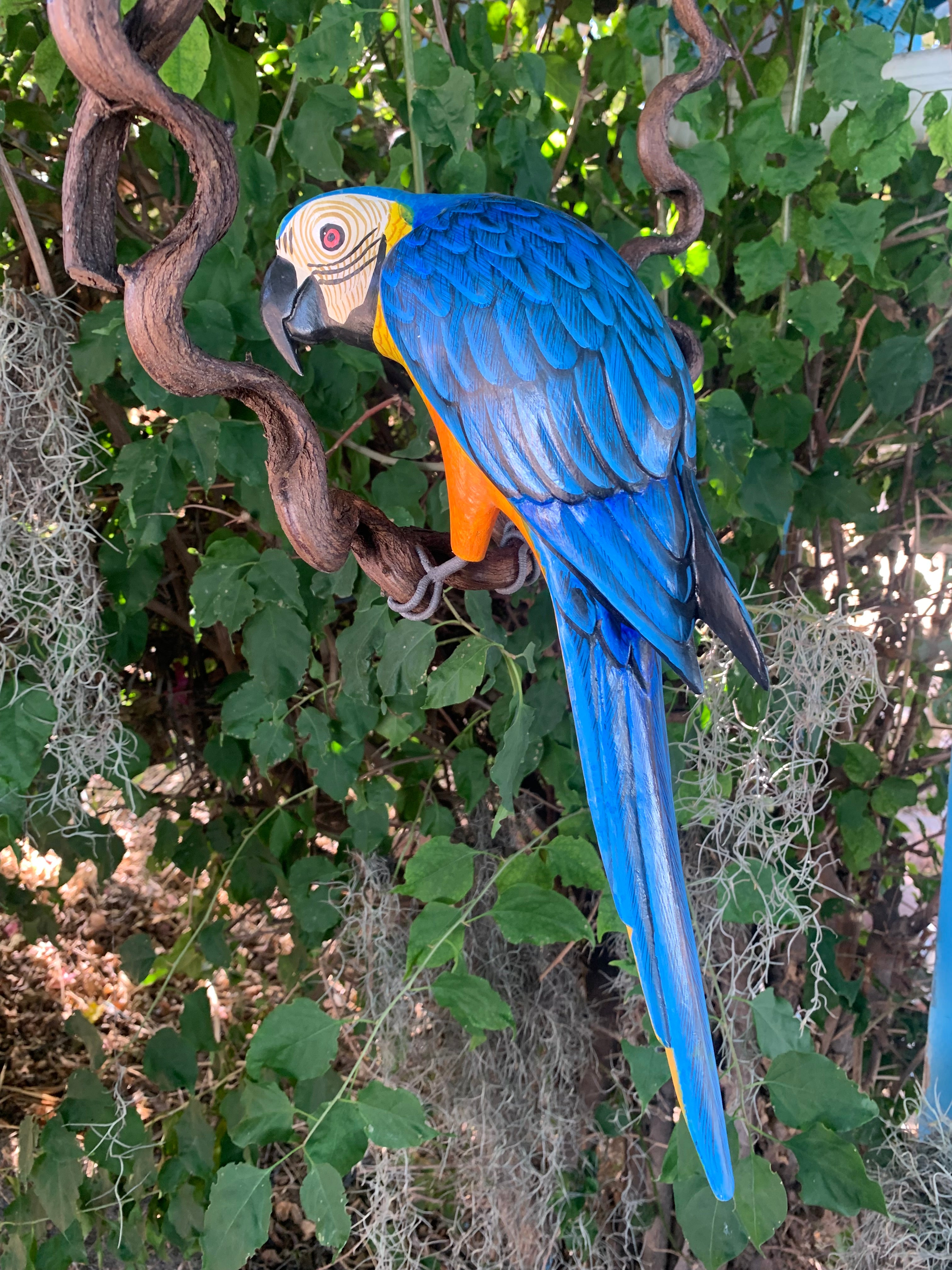 Colorful blue-and-yellow macaw statue perched on a twisted branch in a garden