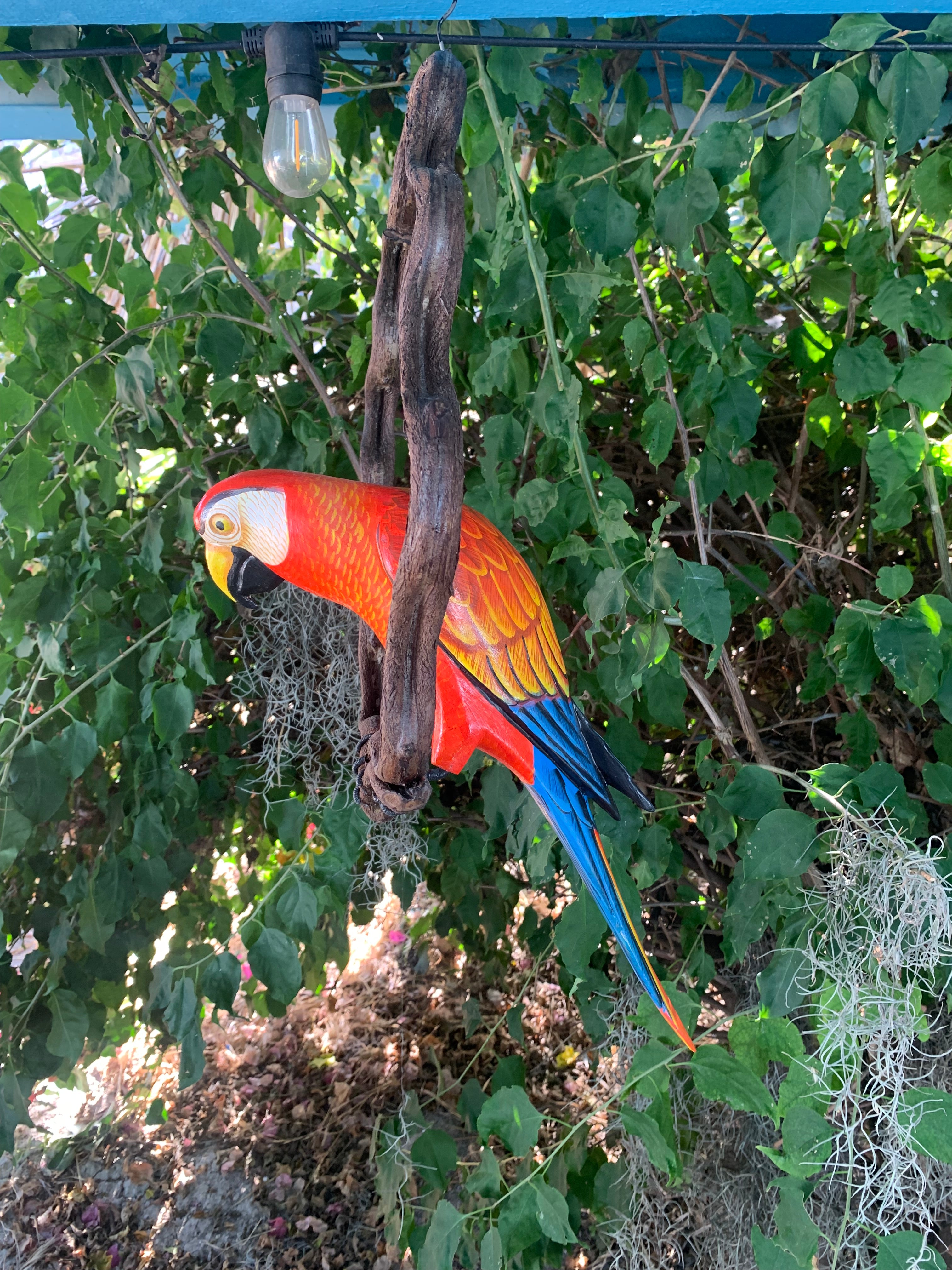 Bright macaw parrot sculpture with red, yellow, and blue plumage hanging from a wooden branch in a garden