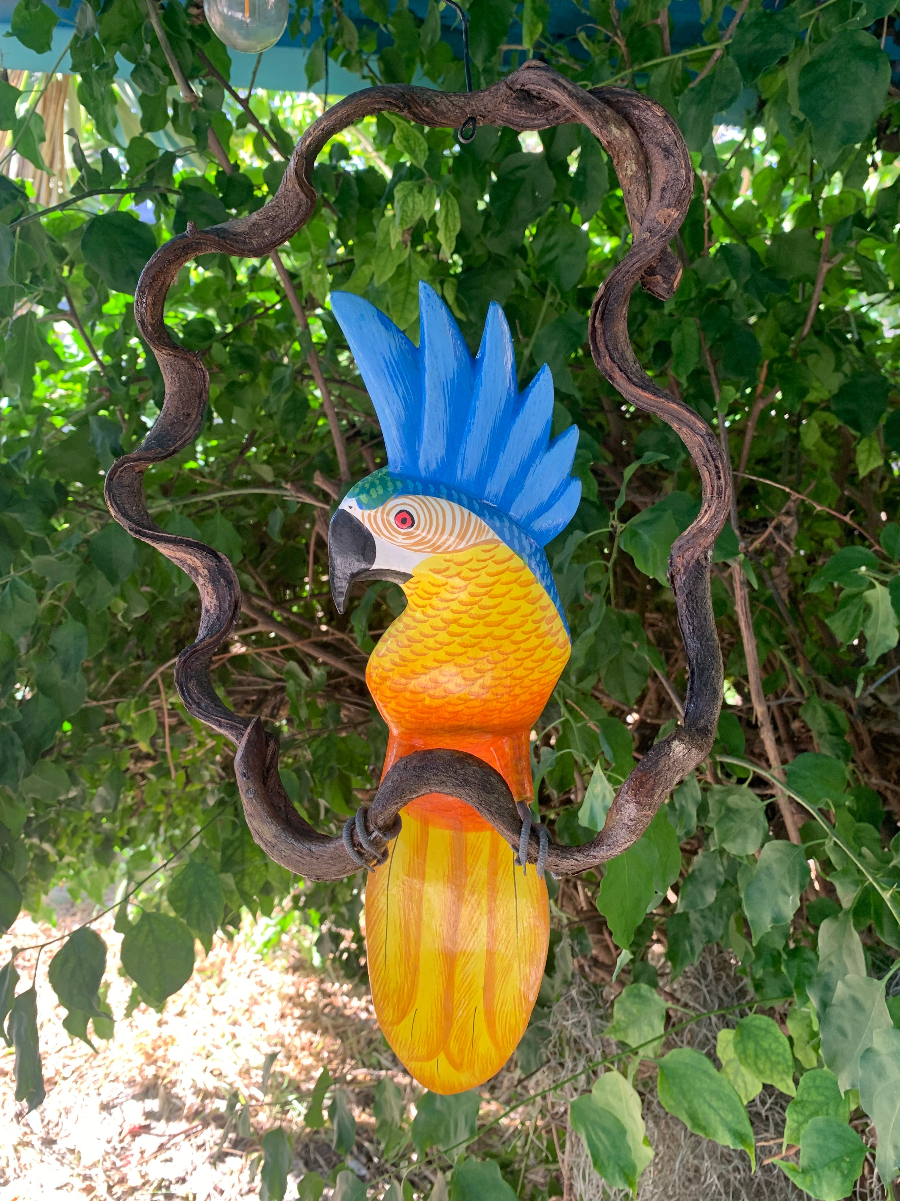 bue cockatoo