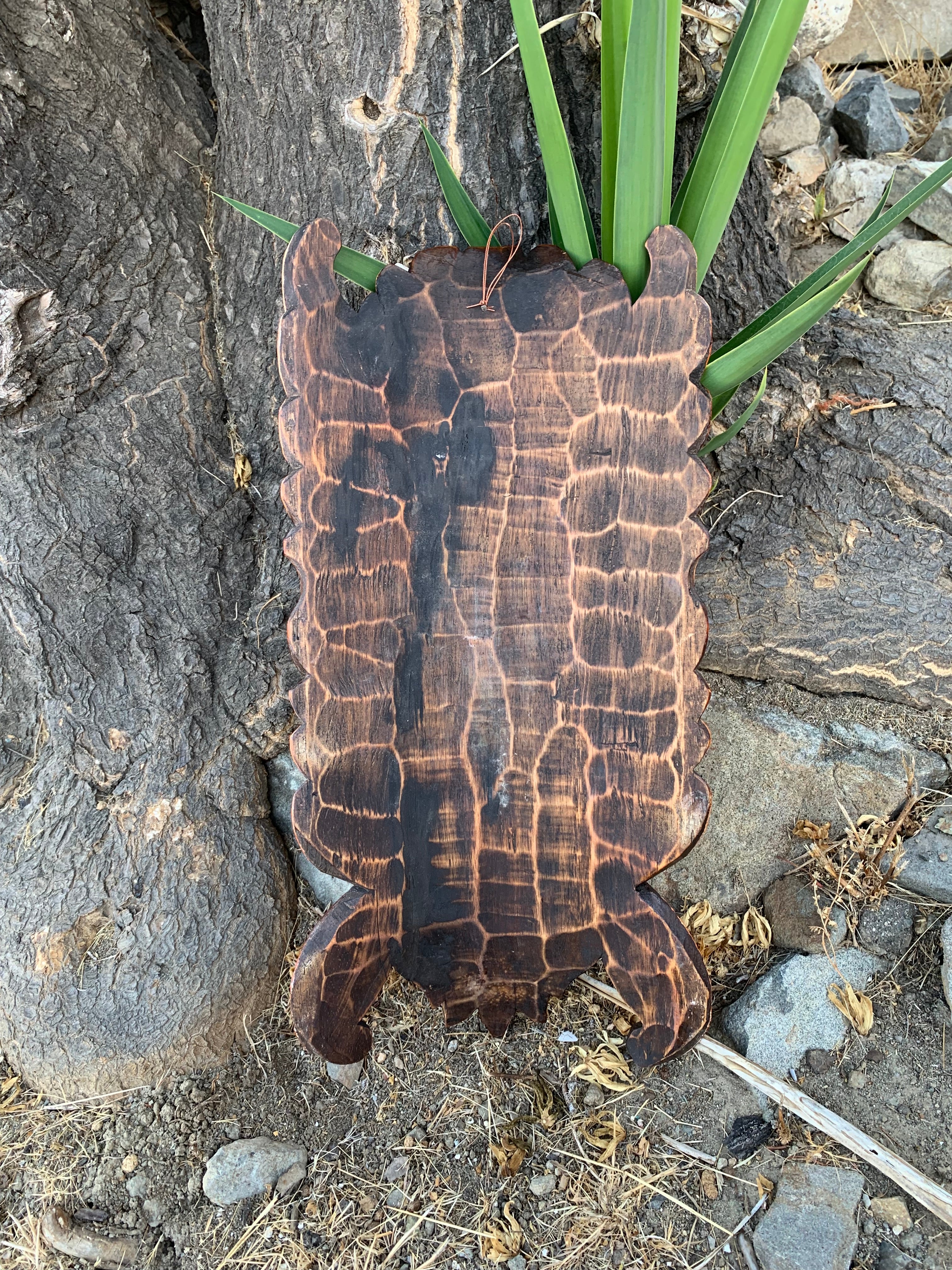 Charred wood plaque with scalloped edges hanging on a tree trunk with a green plant in the background.