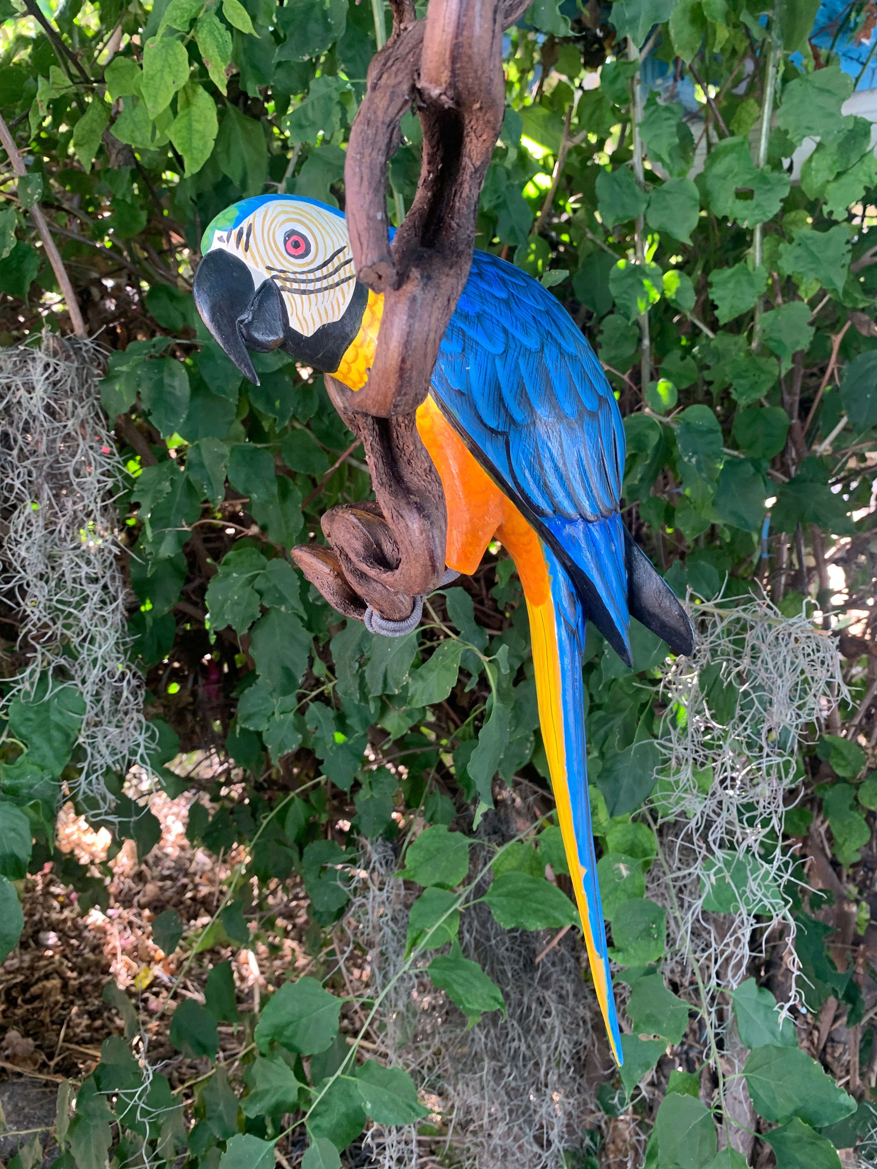 Colorful blue-and-yellow macaw garden sculpture perched on a branch