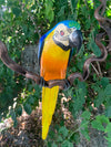 Colorful blue-and-yellow macaw parrot sculpture perched on a twisted branch