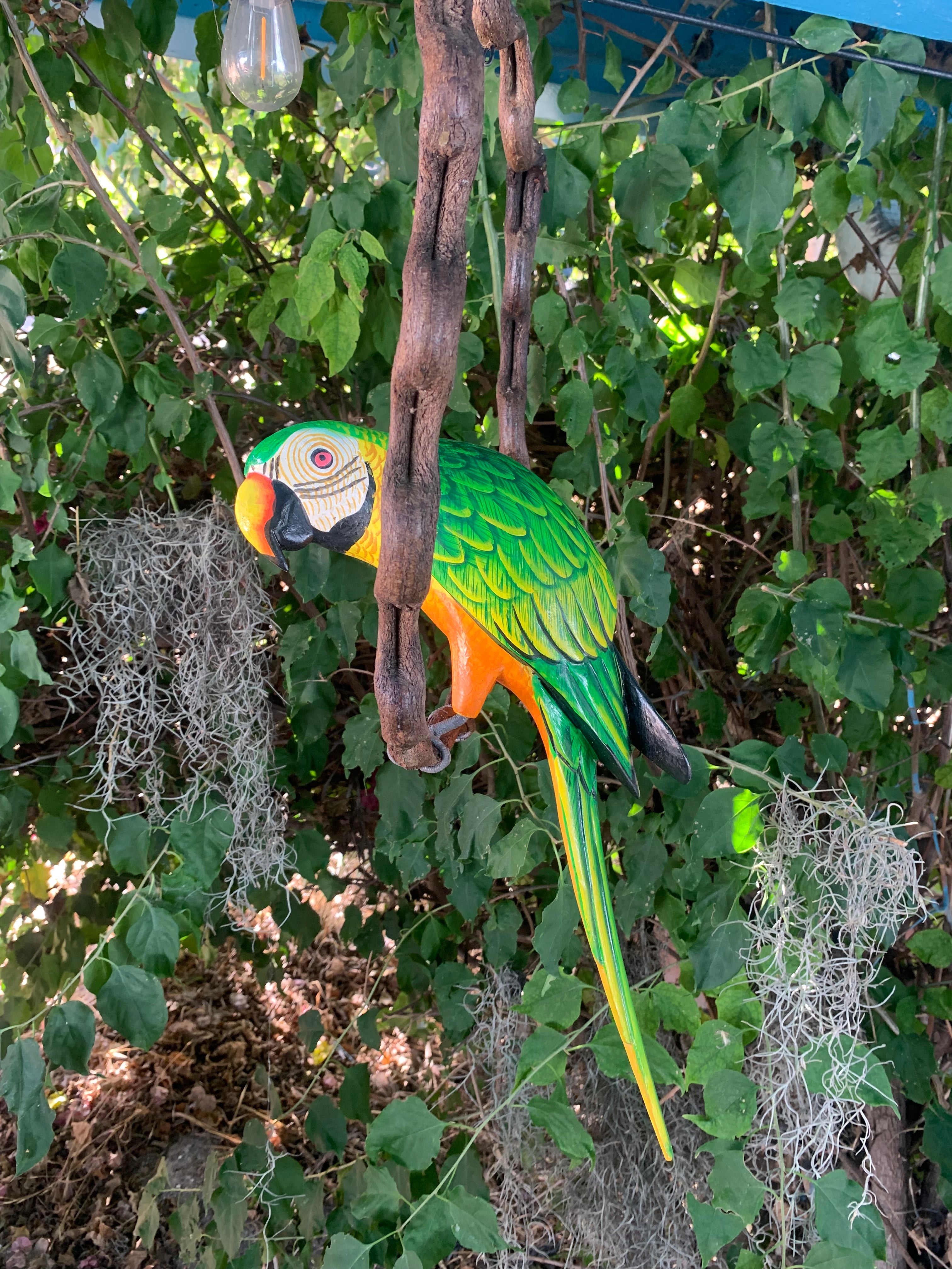 Colorful macaw sculpture hanging among green garden vines