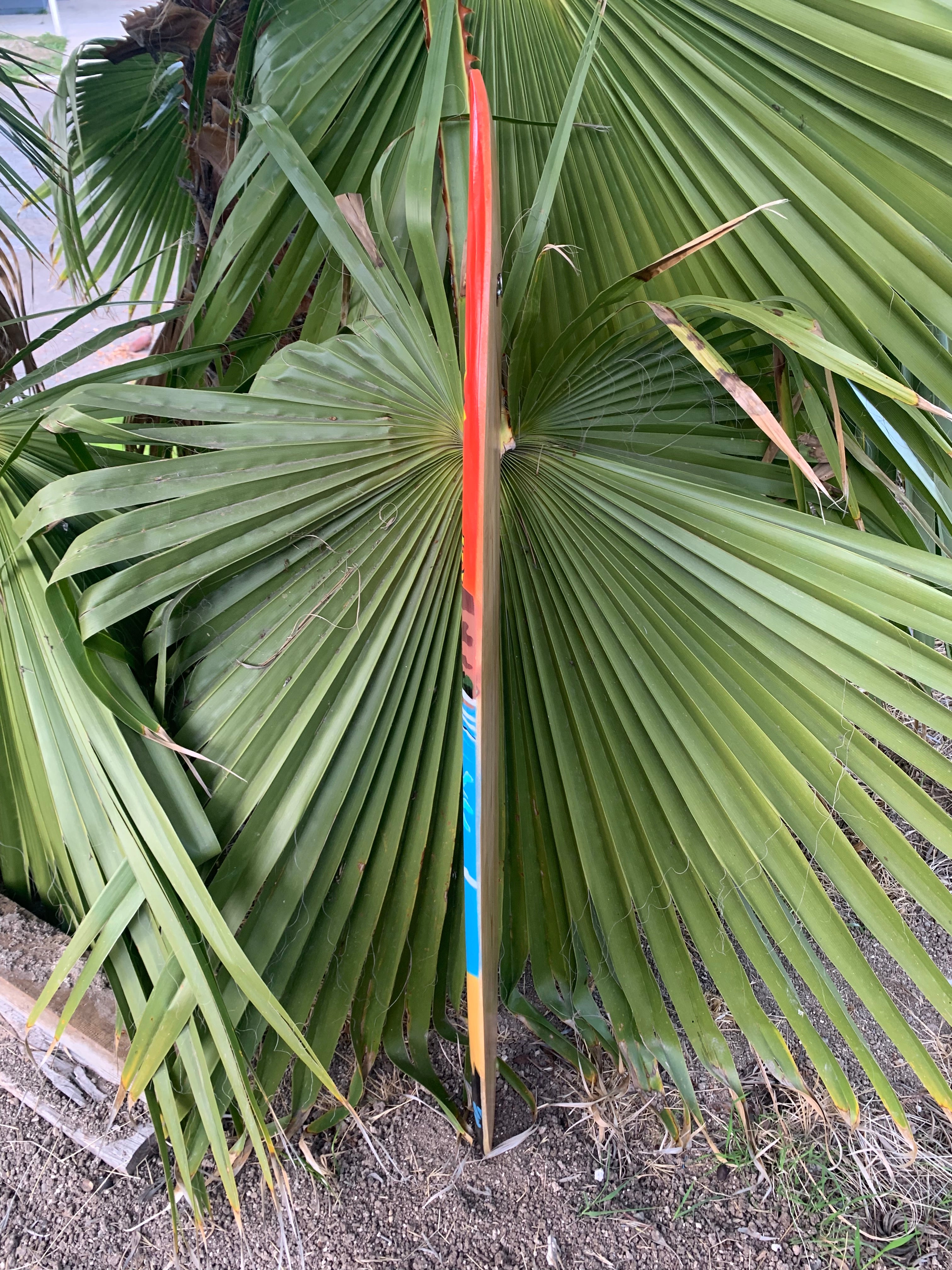 Colorful painted stake beside a large fan palm with green fronds in a garden