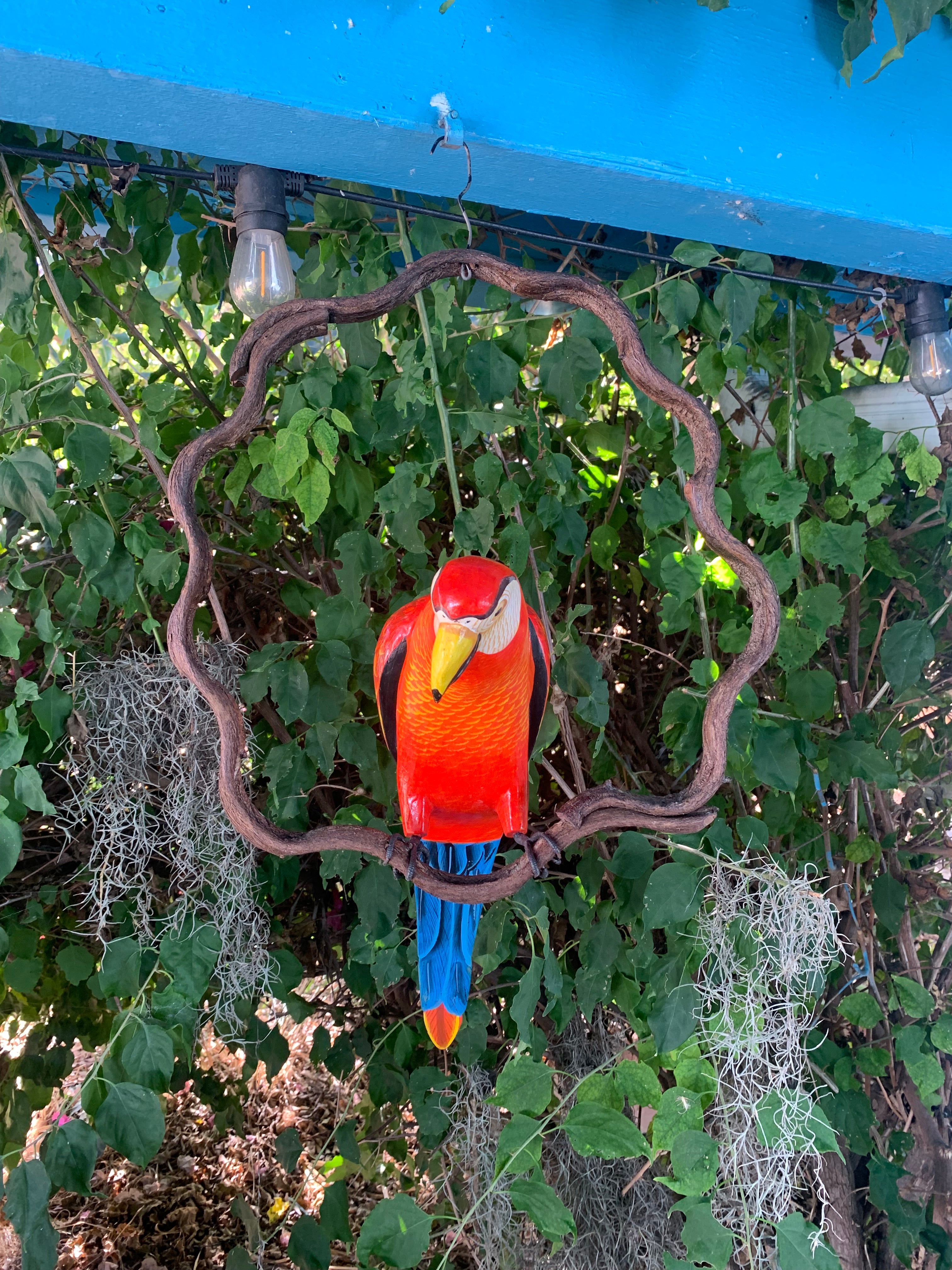 colorful parrot garden sculpture hanging inside a wavy wooden ring frame