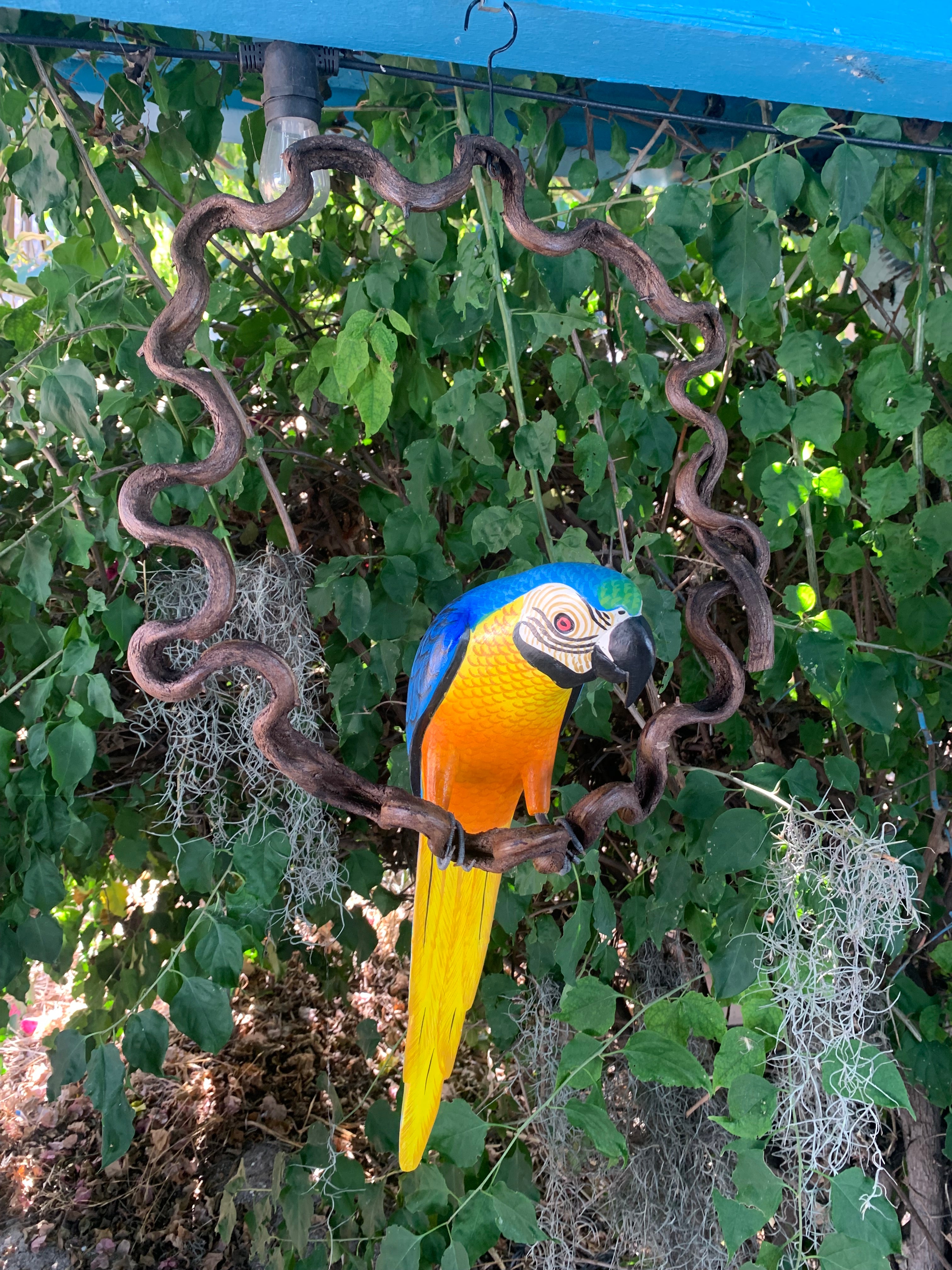Colorful parrot sculpture with blue head and yellow tail inside a brown twisting metal frame in a garden.