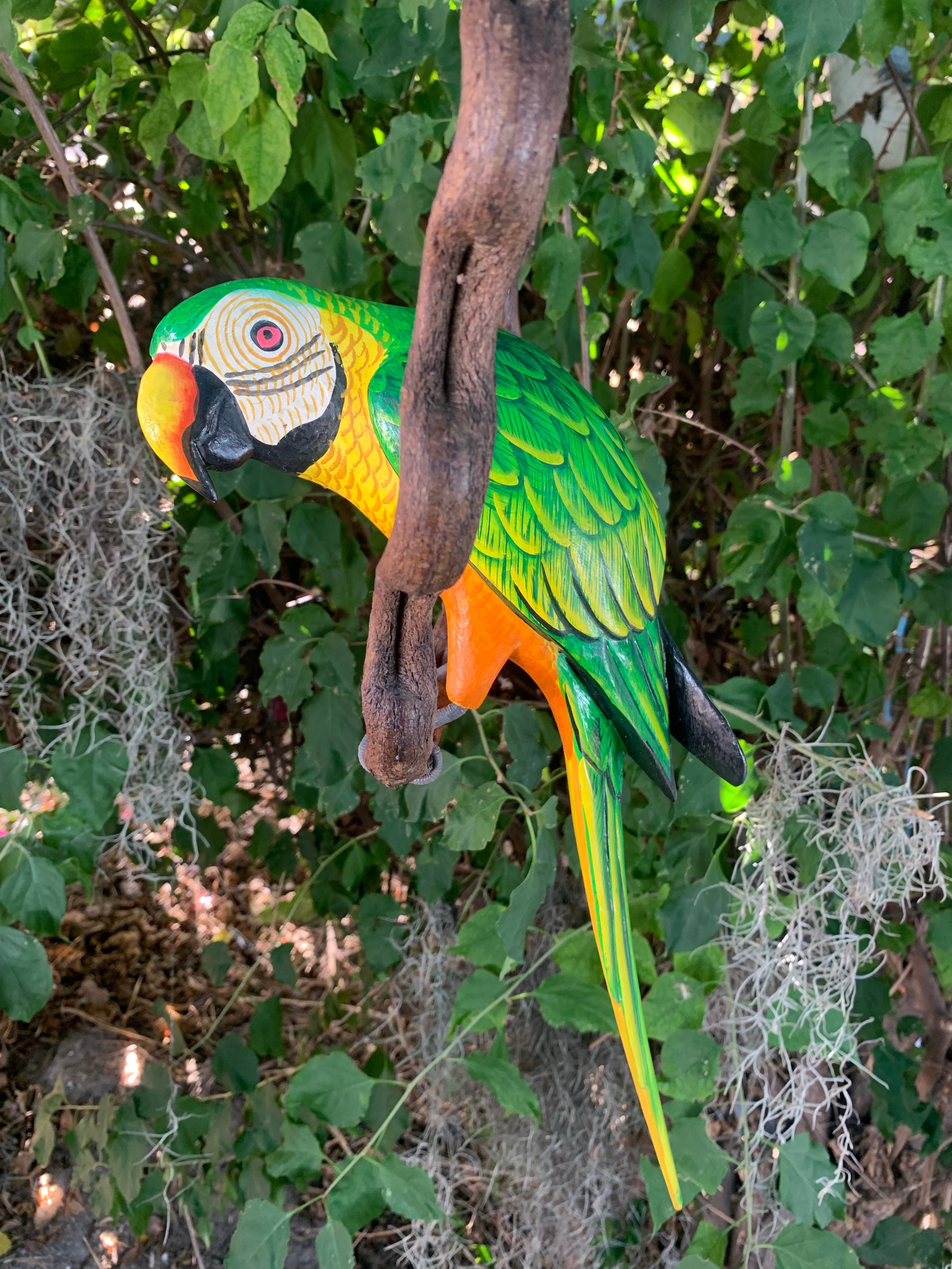 Colorful macaw parrot garden sculpture hanging from a branch