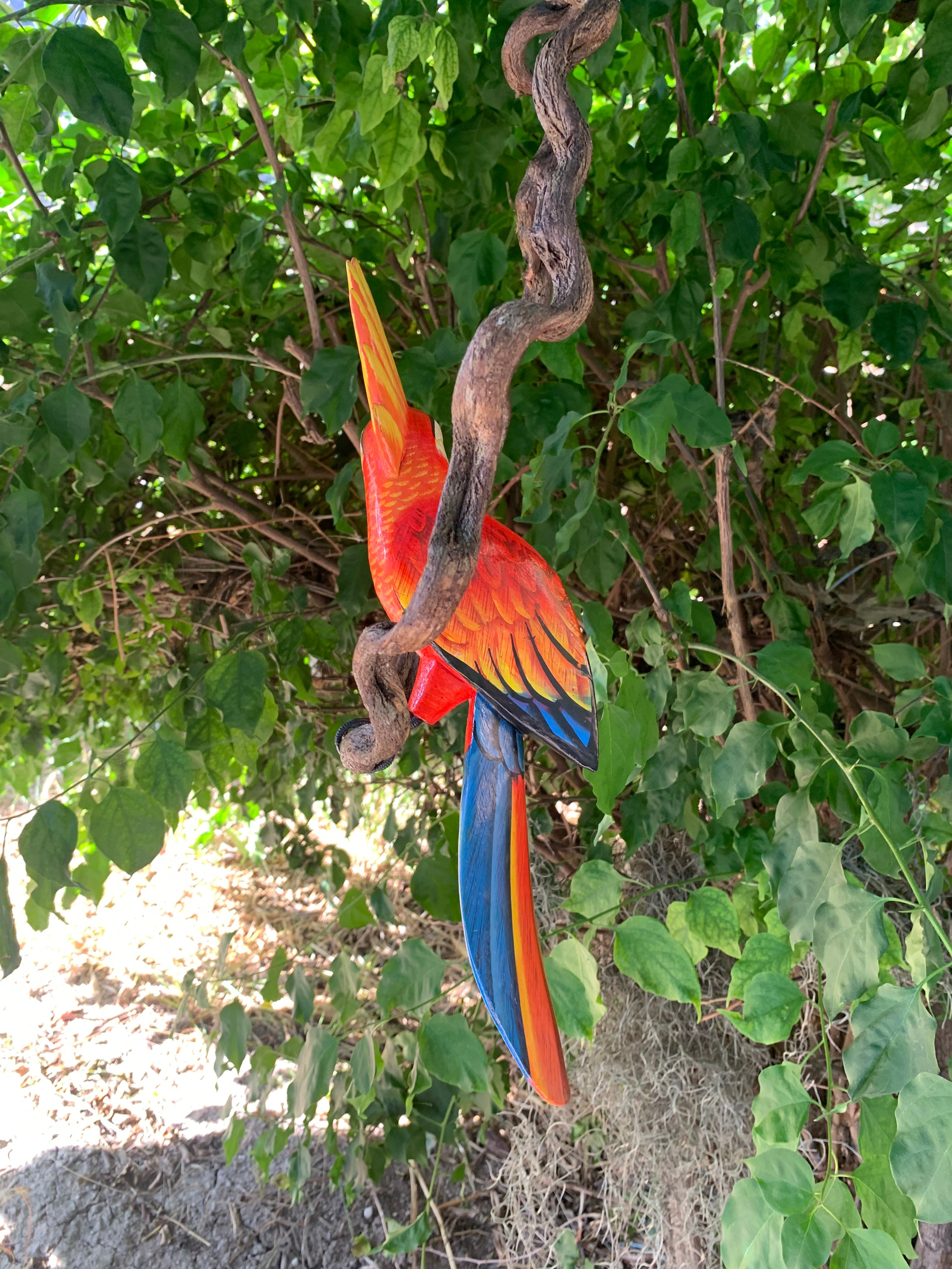 Bright red parrot sculpture with orange wings and blue tail hanging from a twisting branch among green leaves.