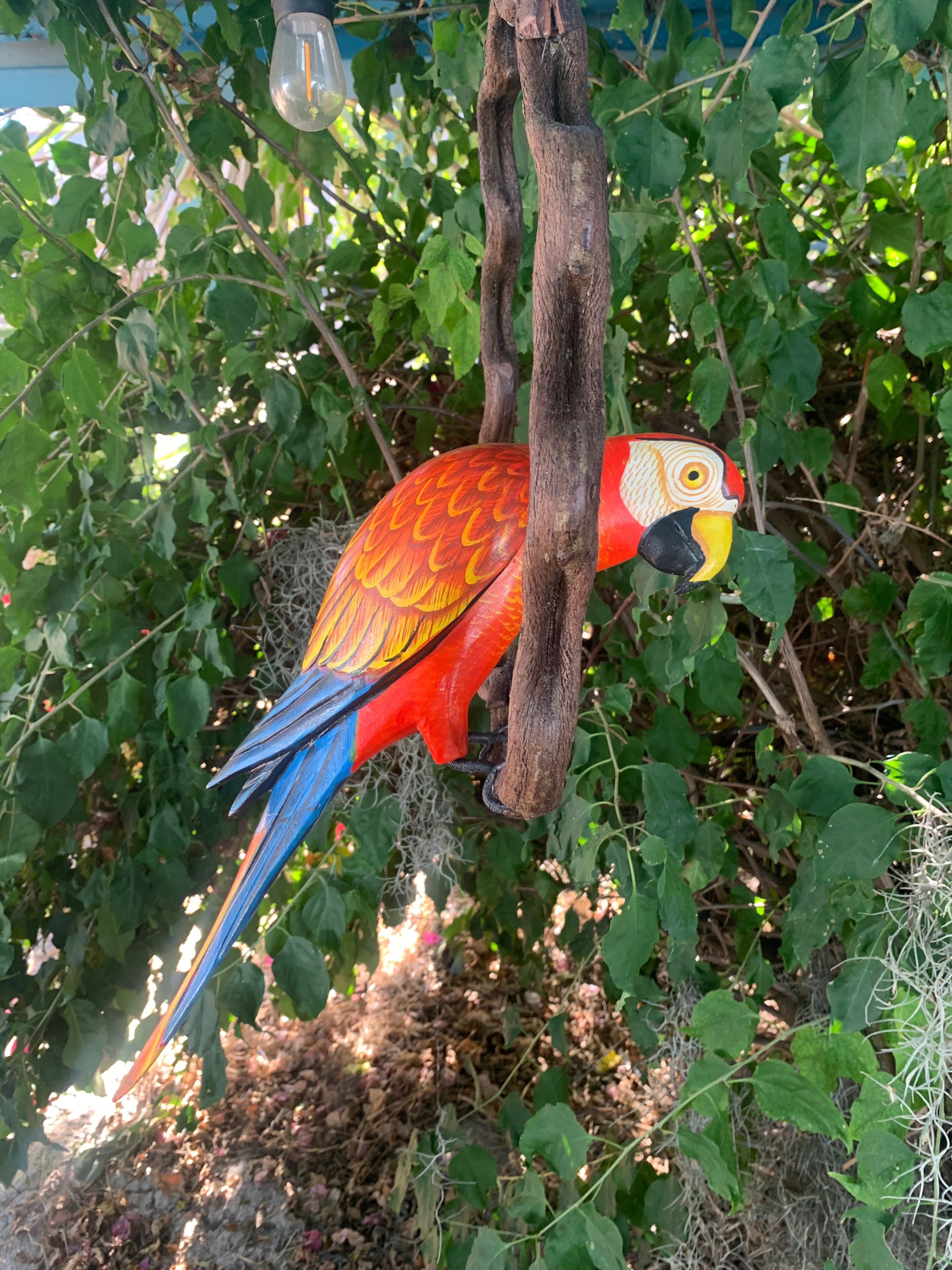 colorful wooden parrot sculpture hanging from a branch