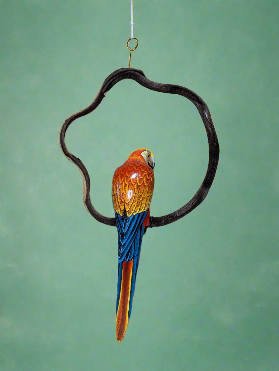 colorful scarlet macaw perched inside a circular metal ring against a green background
