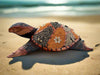 Decorative sand turtle sculpture with mosaic shell on the beach