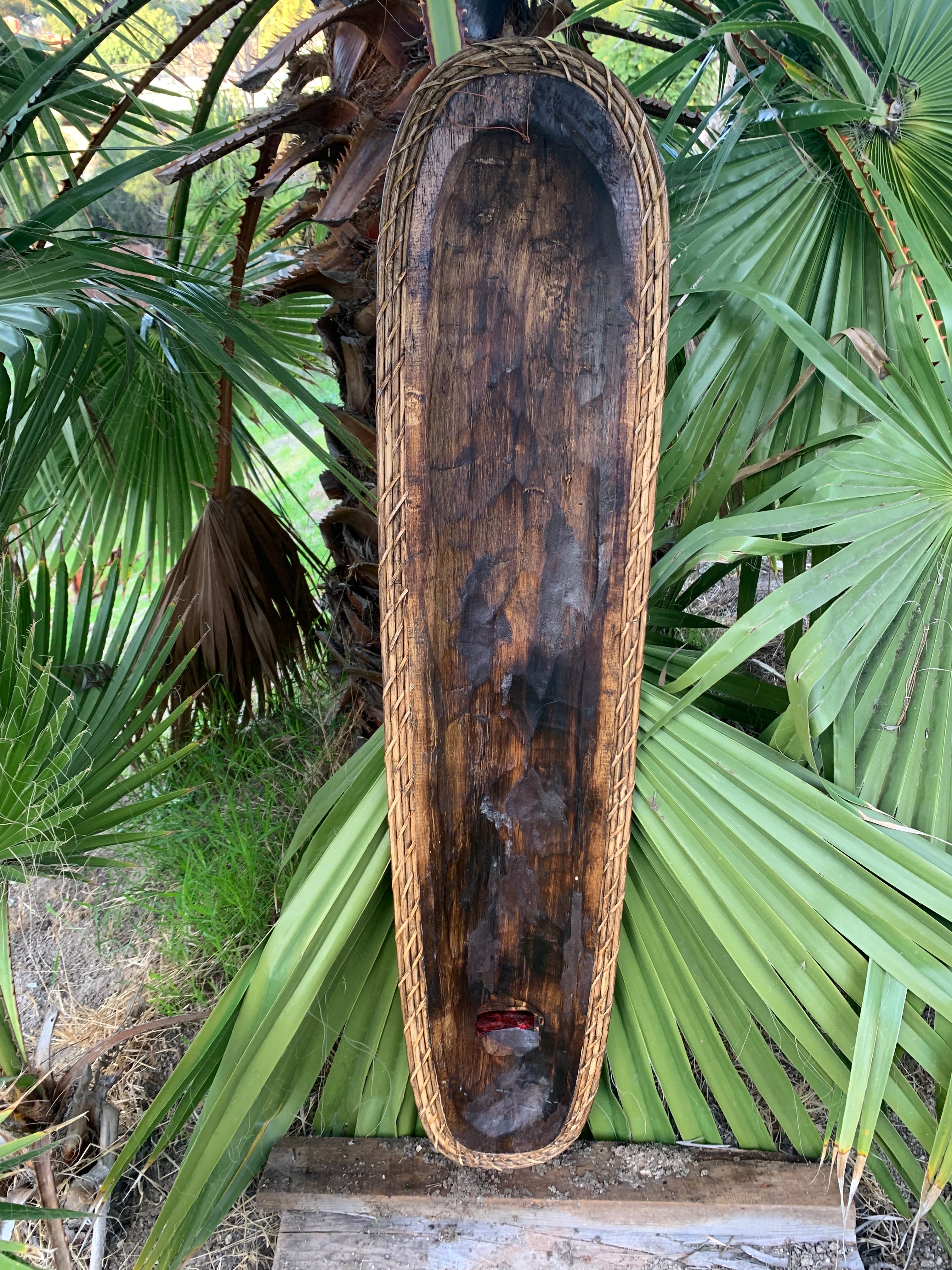 long dark dugout canoe with rope-wrapped edges hanging among palm leaves