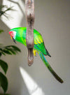 Green macaw perched on a brown branch