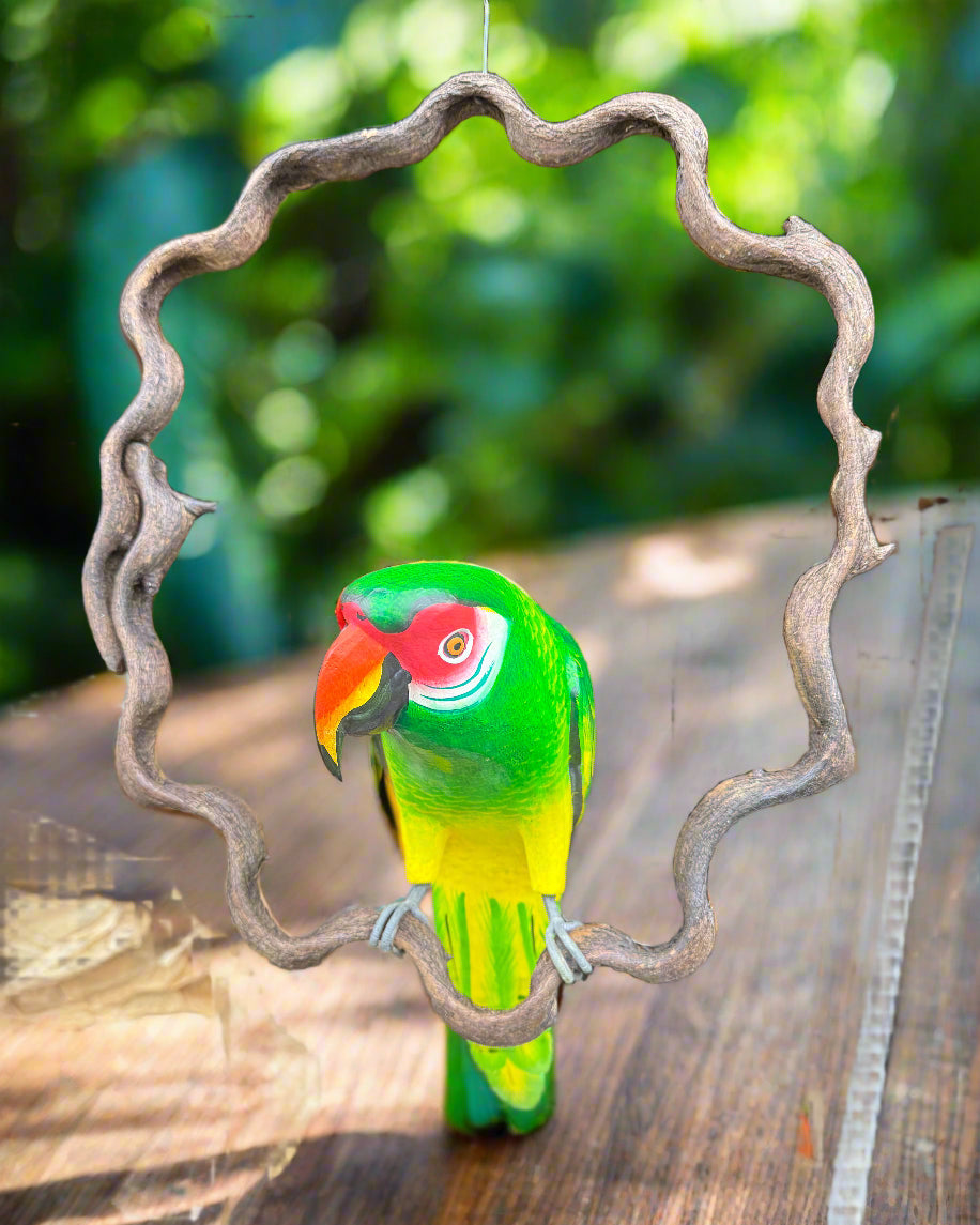 Bright green macaw parrot perched inside a twisting wooden ring with a blurred garden background.