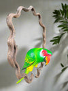 Bright green parrot with red face perched on a twisted wooden ring.