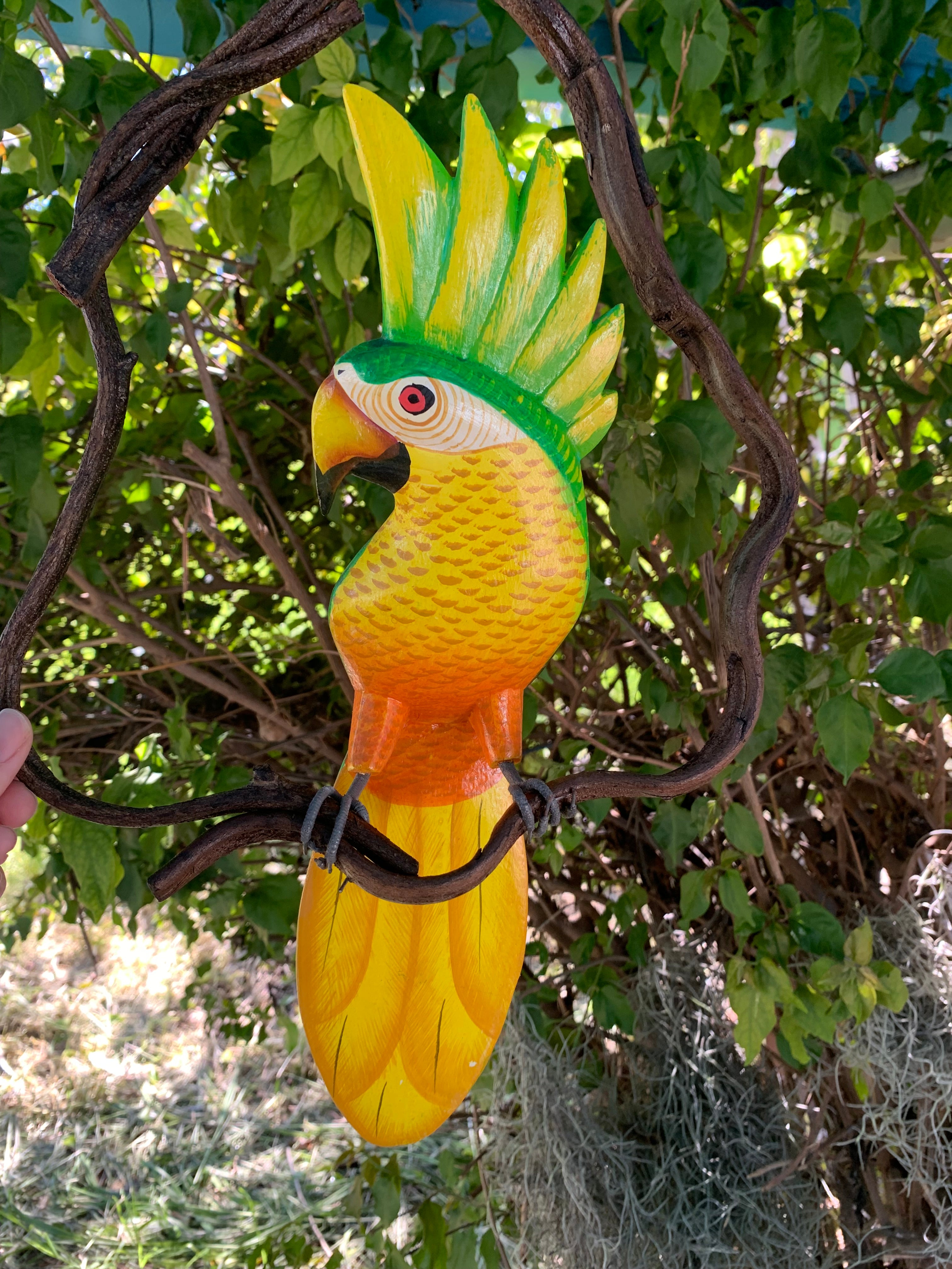 green cockatoo