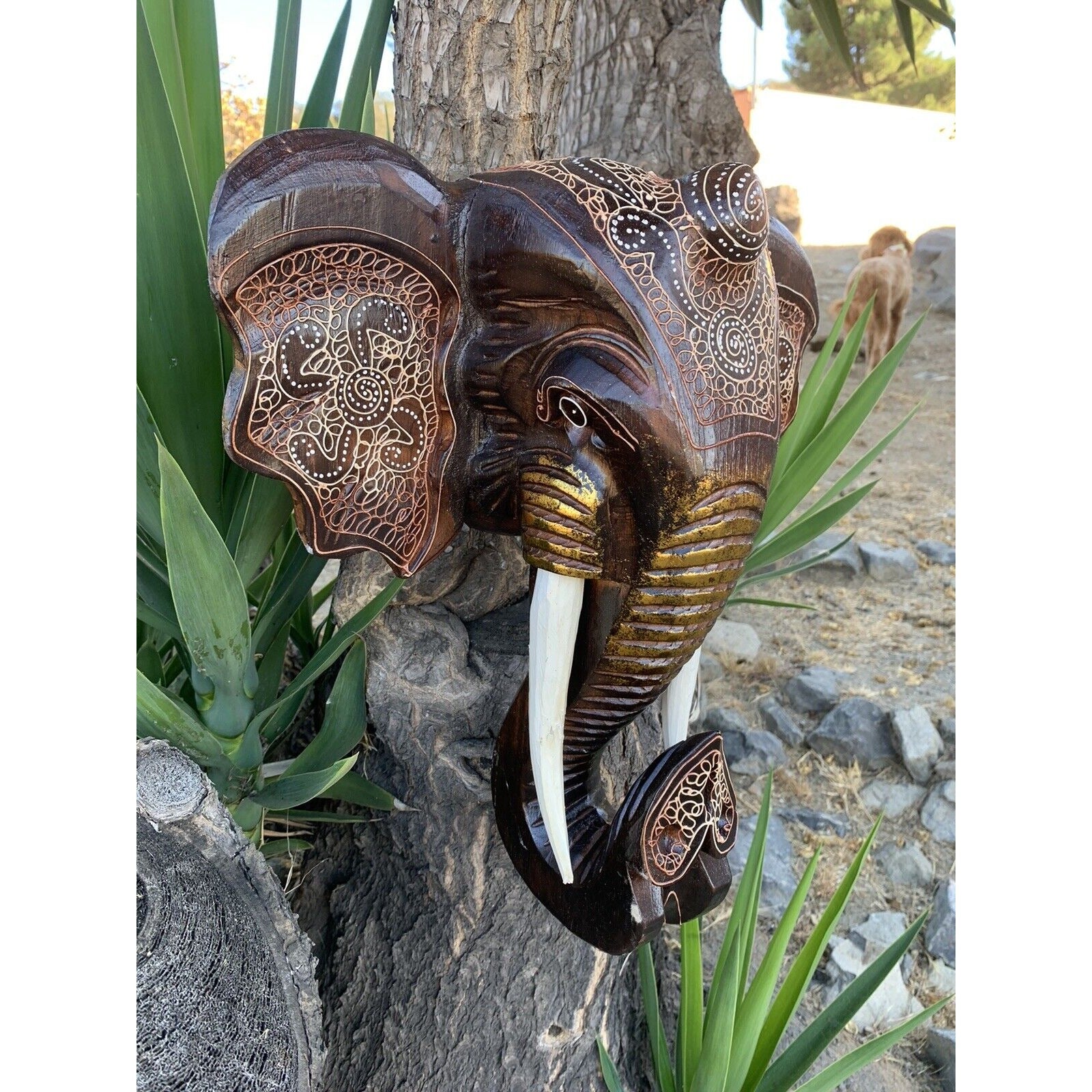 Hand-carved wooden elephant head wall sculpture with intricate patterns and white tusks