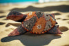 mosaic-turtle-sculpture-on-sandy-beach-with-flower-inlays