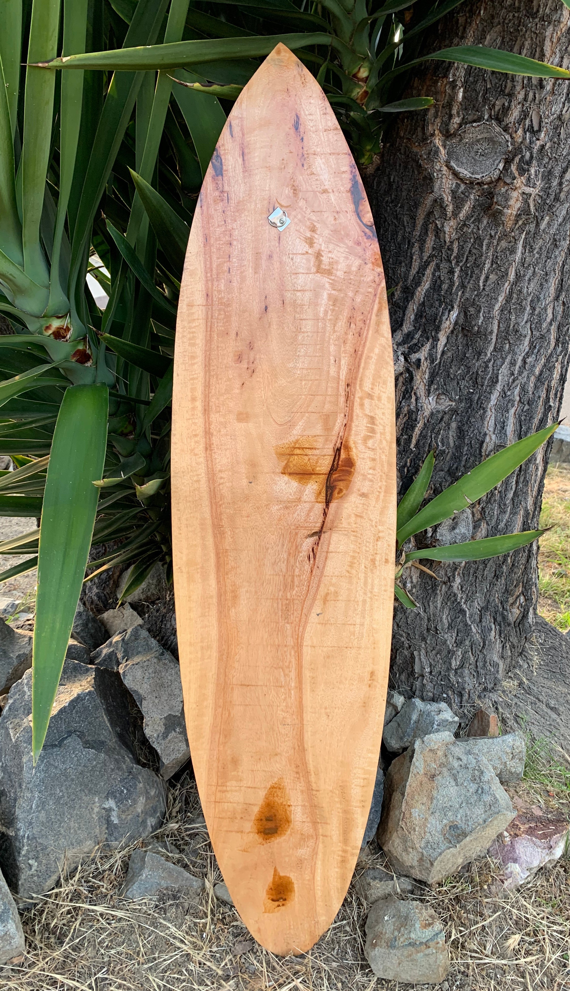 wooden surfboard leaning against a tree with green leaves and rocks