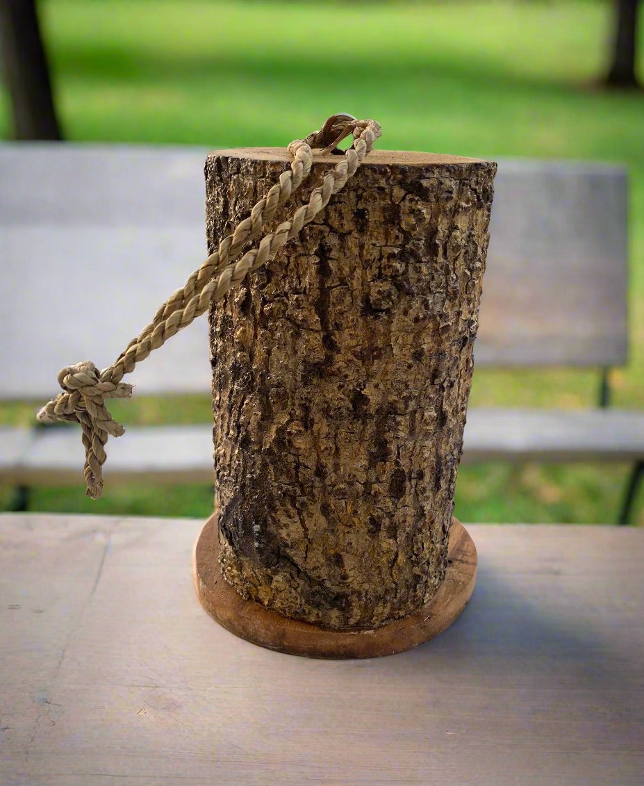 Log-stump with rope looped around the top in an outdoor park setting.