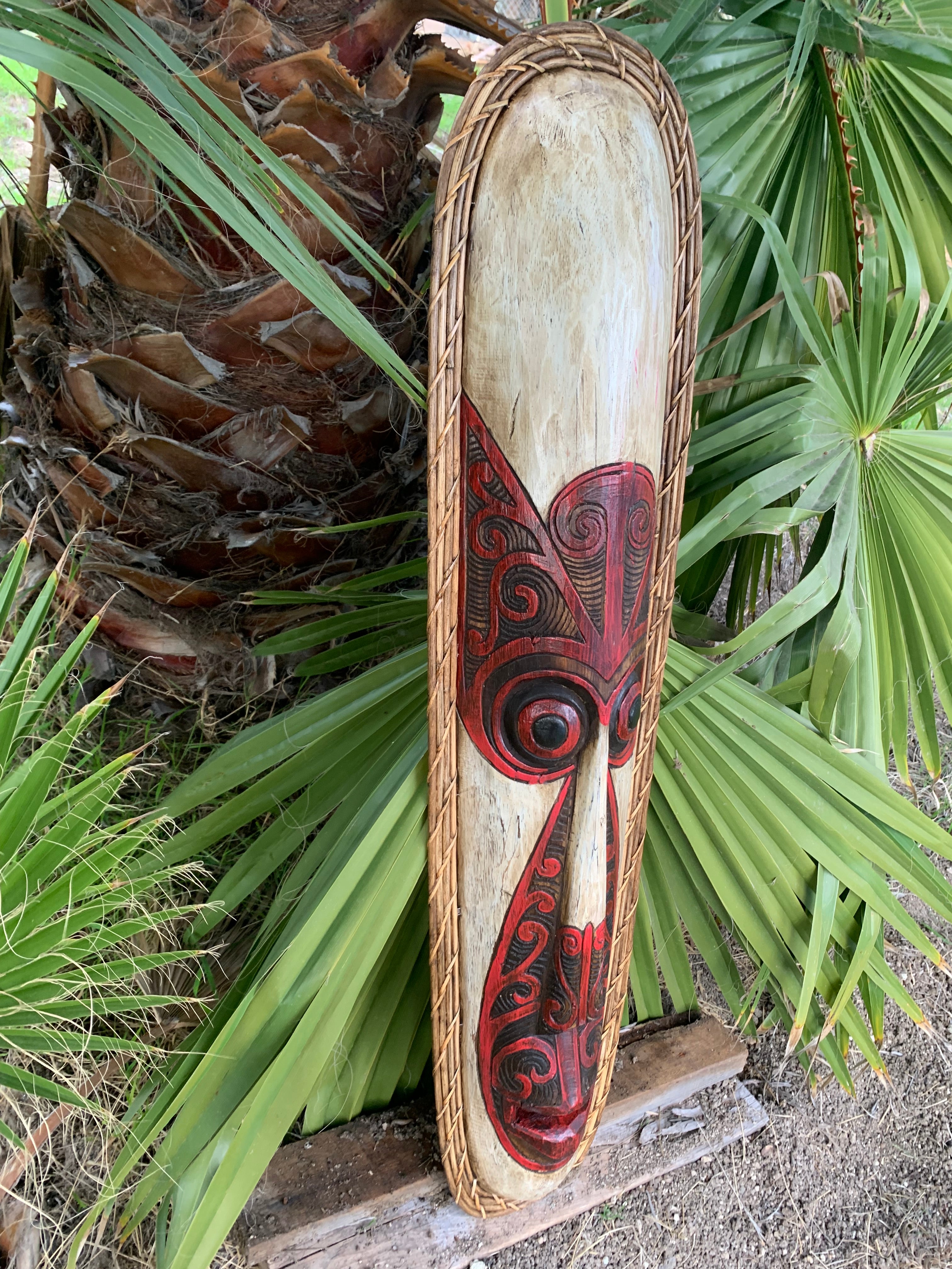 Long wooden shield with red and black tribal carvings and a woven border, leaning against palm leaves.